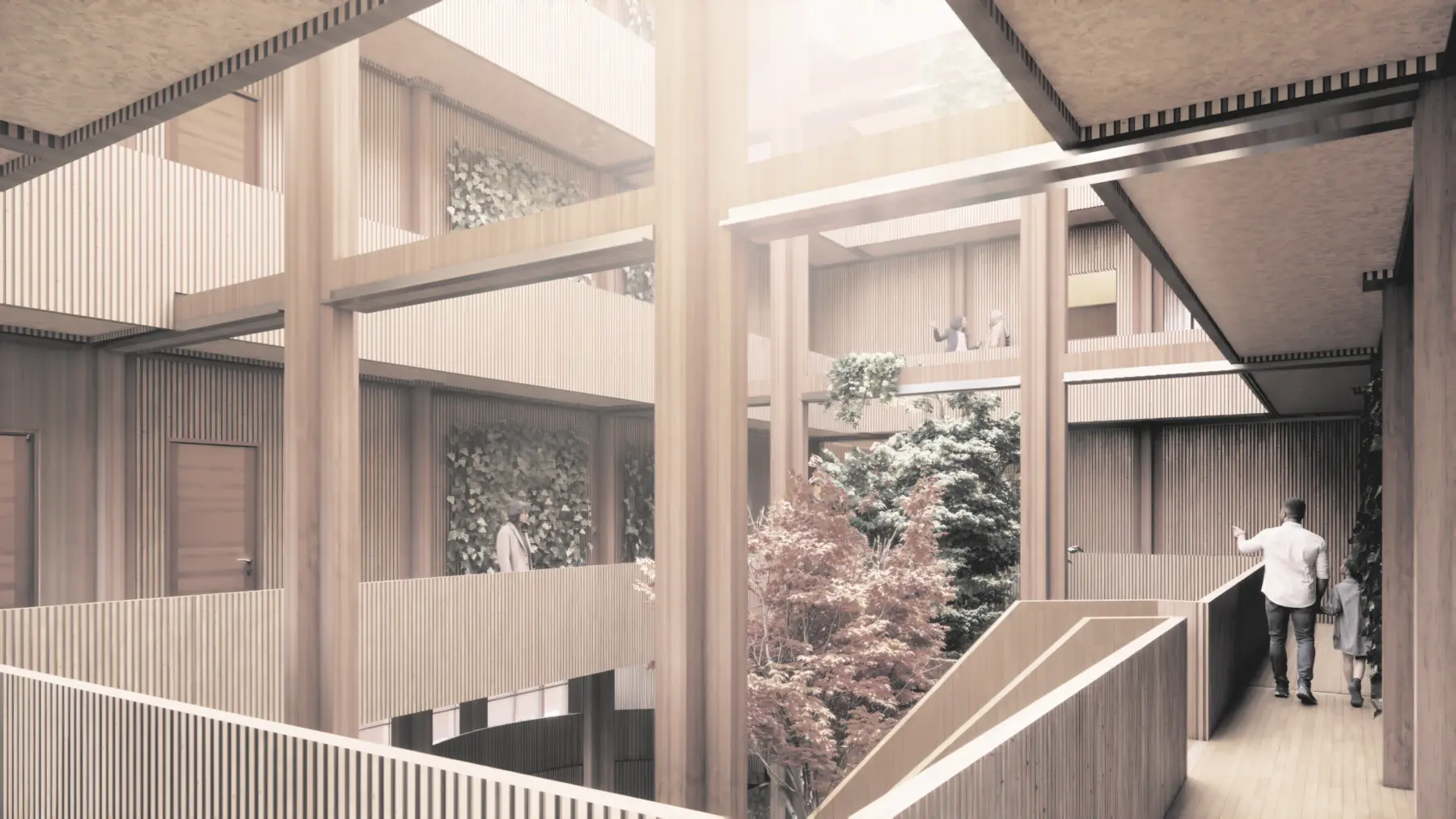Timber collective housing arranged around a planted internal courtyard